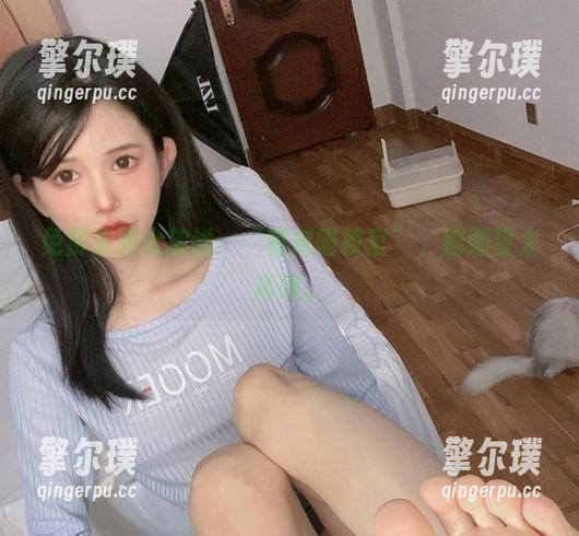 免费资源大放送：“倦倦喵教室”，别期望太高哦。