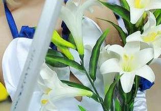 只是简言龙姬的浪漫：免费合集，快来围观不种草别怪我！