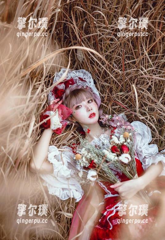 龙姬士和柯丽蒂丝的世界：阿包也是兔娘全集下载，你敢体验吗？